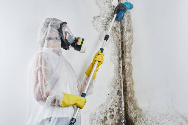 North Granby, CT Mold Removal & Remediation Company