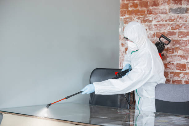 Best Biohazard Mold Removal  in North Granby, CT